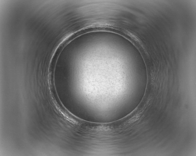 X0000053101029200507251625
