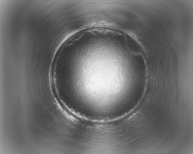 X0000053101032200507251625