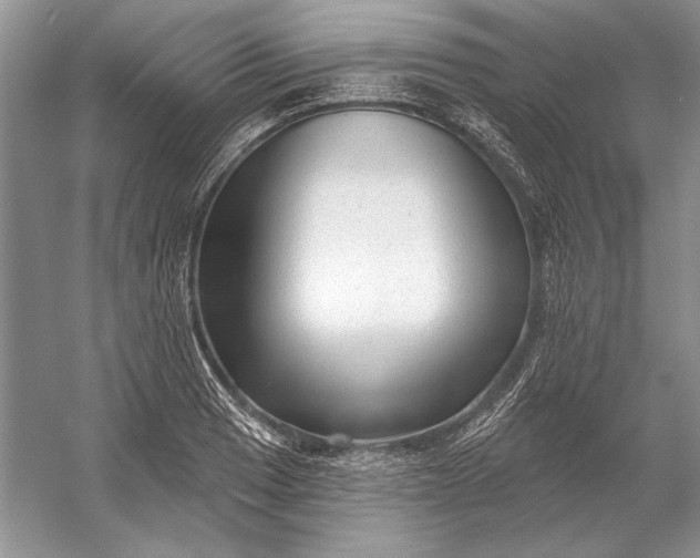 X0000053101033200507251625