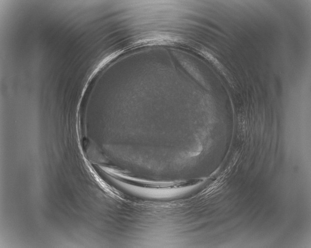 X0000053101034200507251625