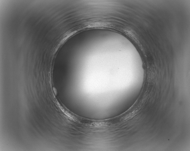 X0000053101041200507251625