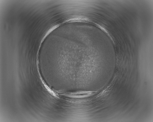 X0000053101042200507251625