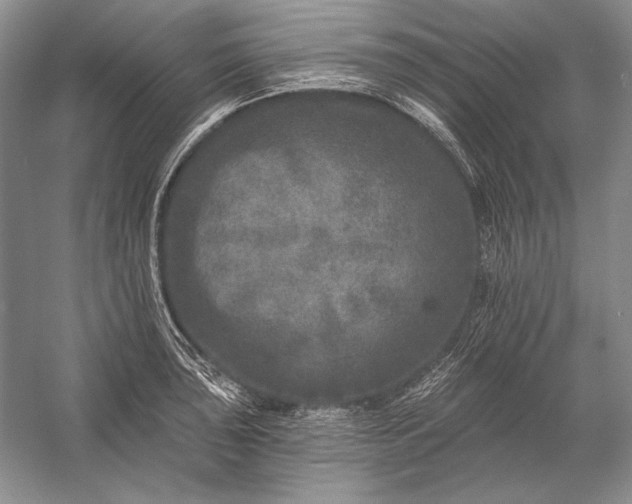 X0000053101043200507251625
