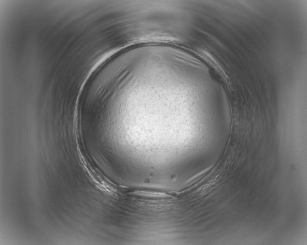 X0000053101044200507251625