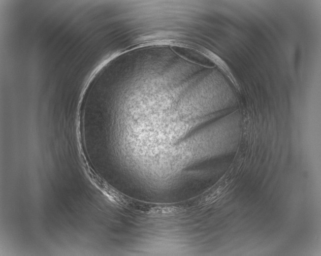 X0000053101051200507251626