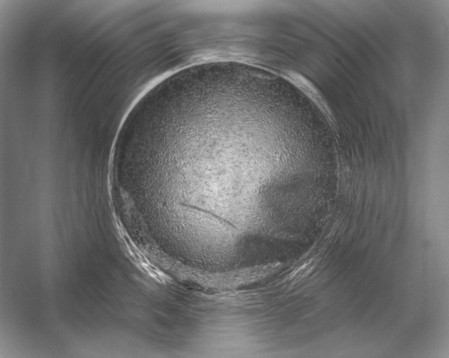 X0000053101052200507251626
