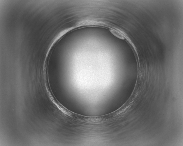 X0000053101053200507251626
