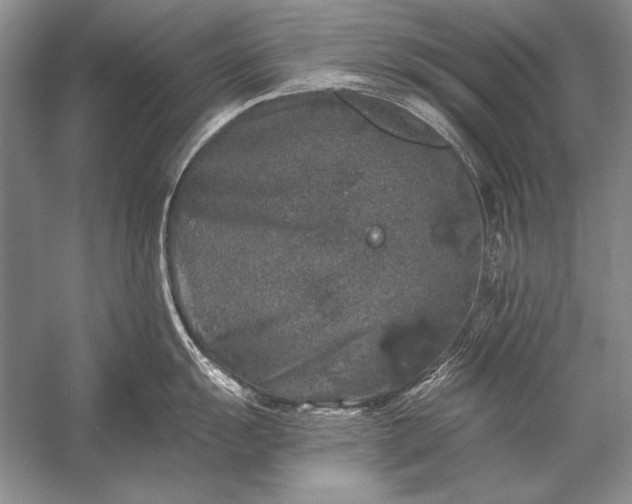 X0000053101055200507251626