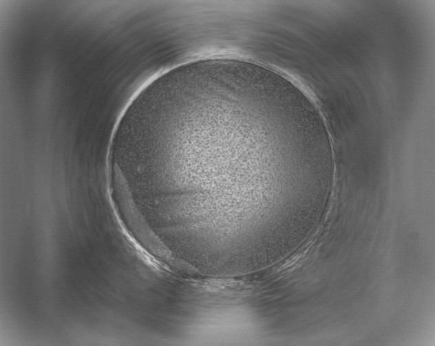 X0000053101056200507251626