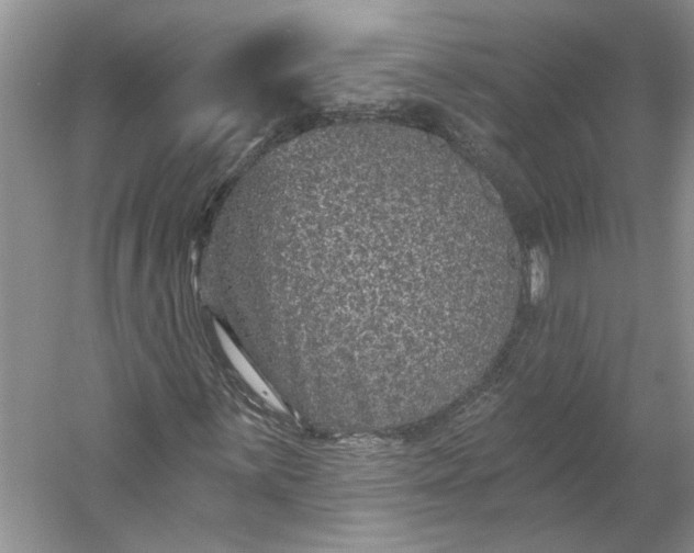 X0000053101059200507251625