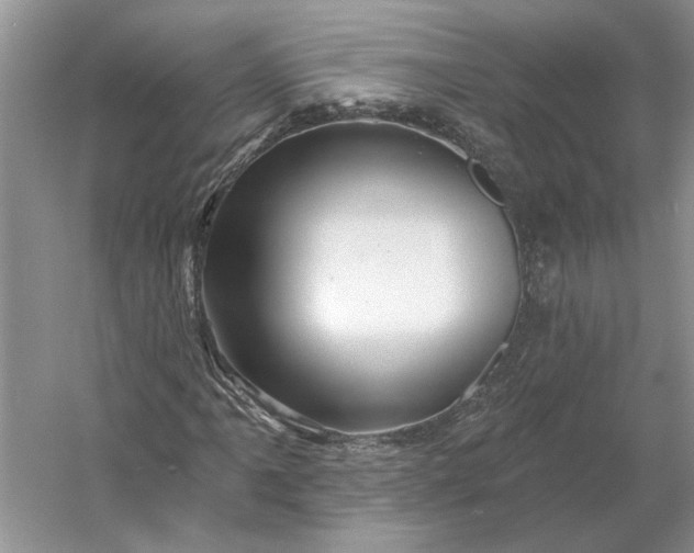 X0000053101061200507251625