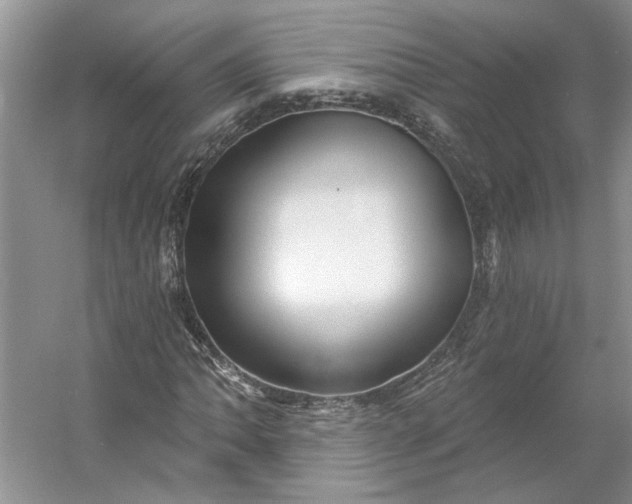 X0000053101062200507251625