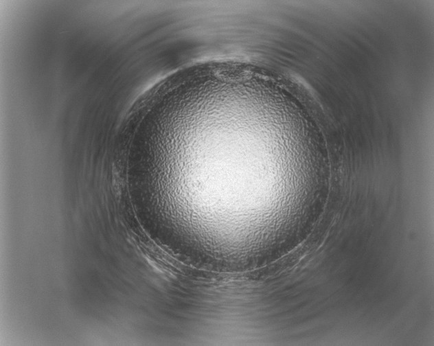 X0000053101064200507251625
