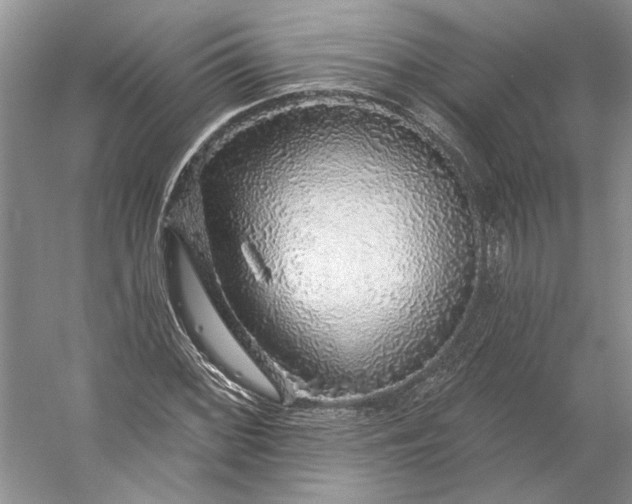 X0000053101068200507251625