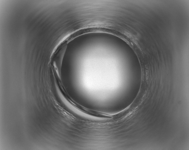X0000053101069200507251625