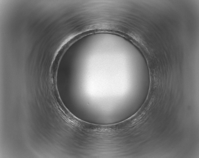 X0000053101070200507251625