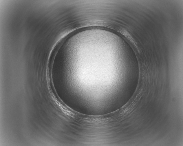 X0000053101072200507251625
