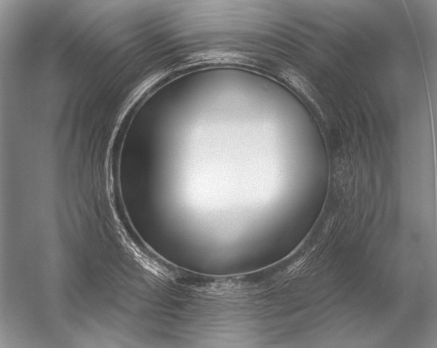 X0000053101082200507251624
