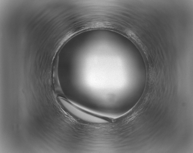 X0000053101089200507251624