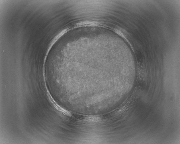 X0000053101090200507251624
