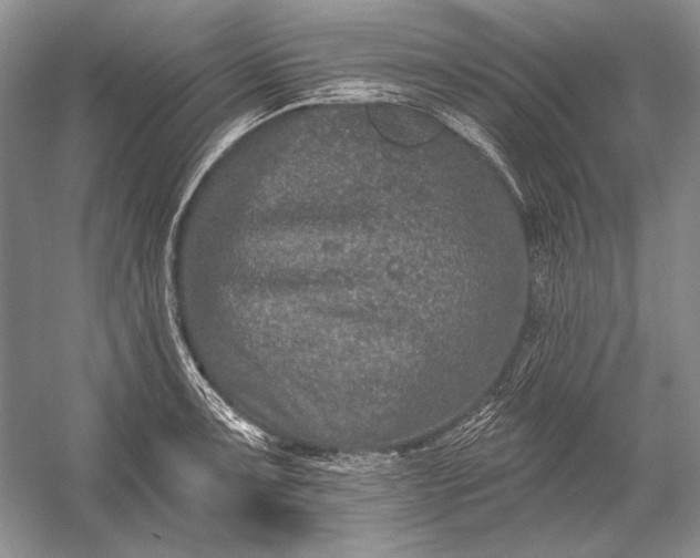 X0000053101091200507251624