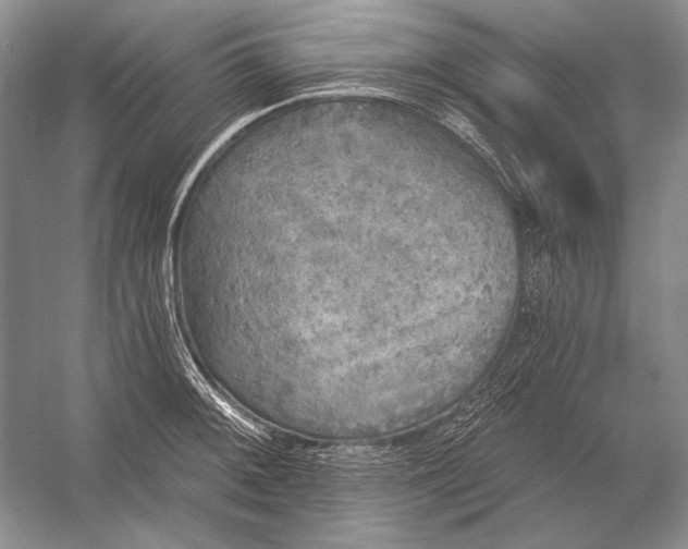 X0000053101092200507251624