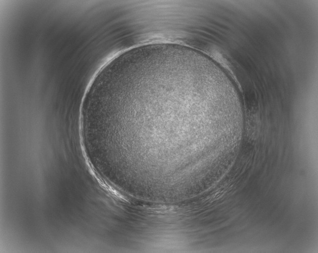 X0000053101096200507251624