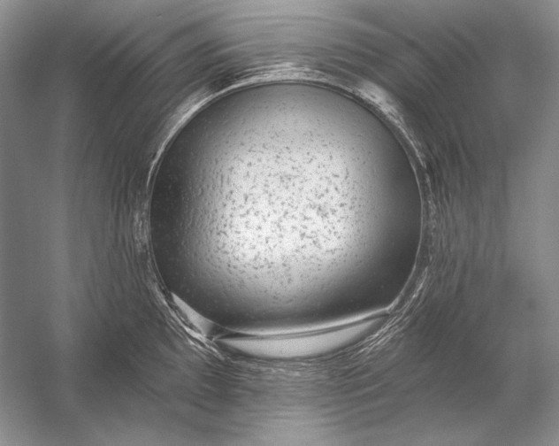 X0000053101097200507251624