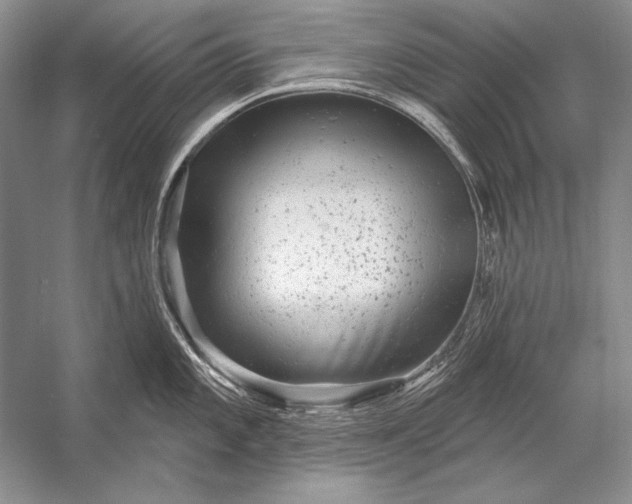 X0000053101101200507251624