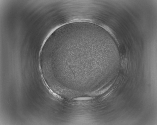 X0000053101102200507251624