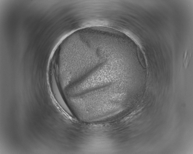 X0000053101104200507251624