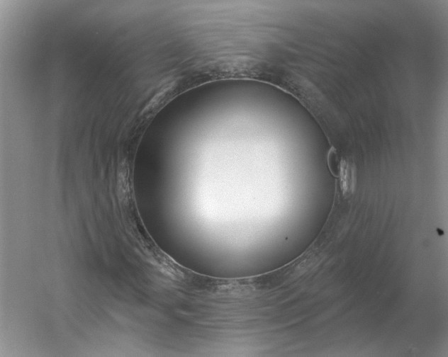 X0000053101107200507251623