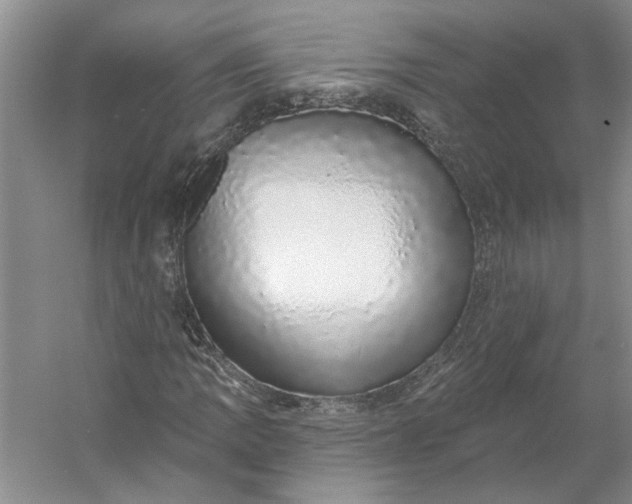 X0000053101109200507251623