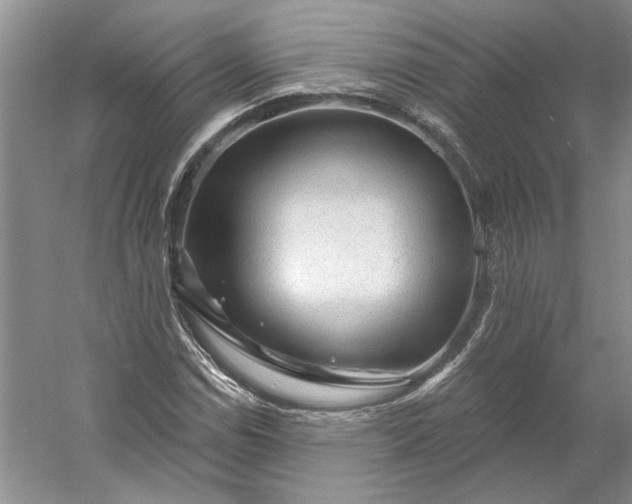 X0000053101114200507251623
