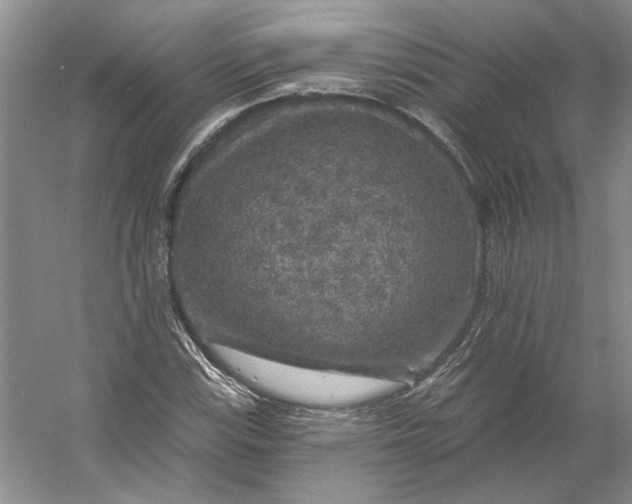 X0000053101115200507251623