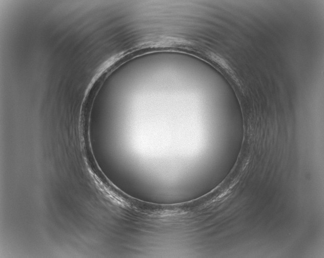 X0000053101122200507251624