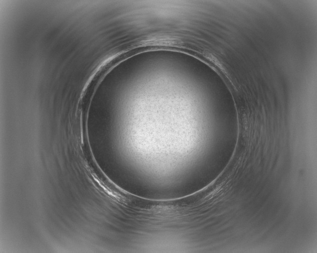 X0000053101123200507251624