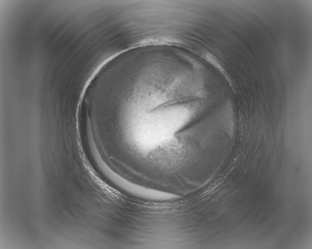 X0000053101124200507251624