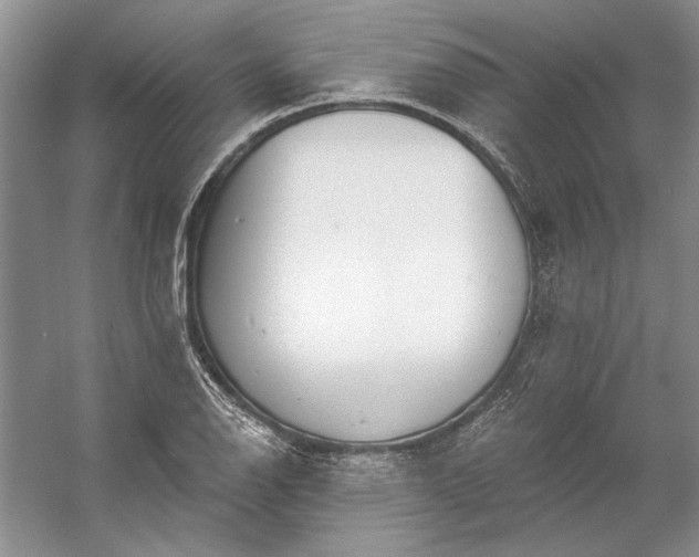 X0000053101126200507251624