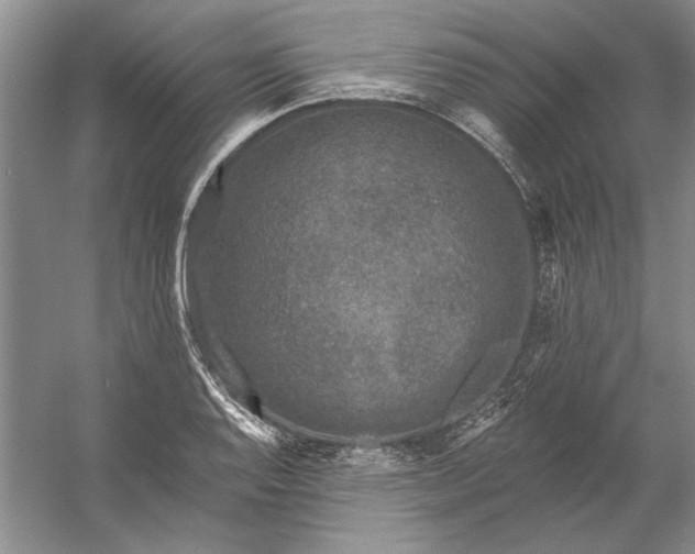 X0000053101128200507251624
