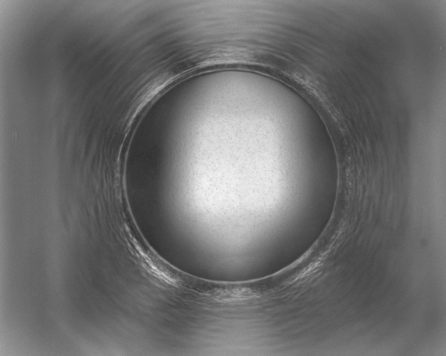 X0000053101129200507251624