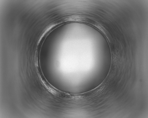 X0000053101131200507251624