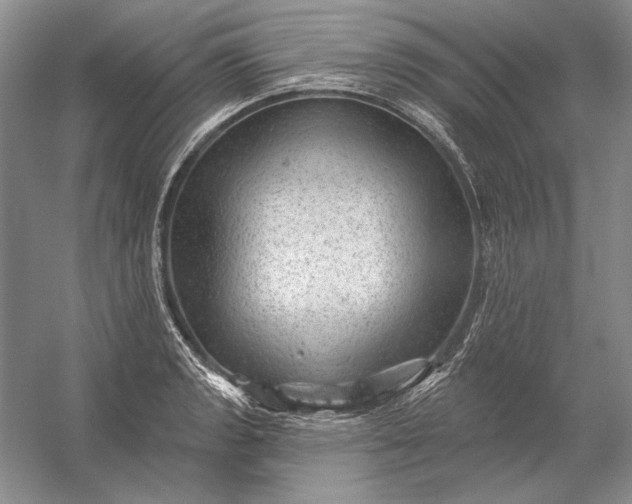 X0000053101133200507251624