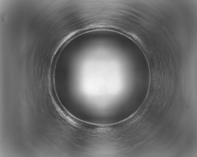 X0000053101134200507251624