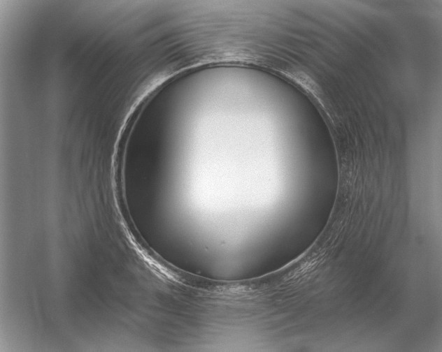 X0000053101135200507251624