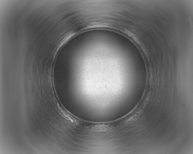 X0000053101137200507251624