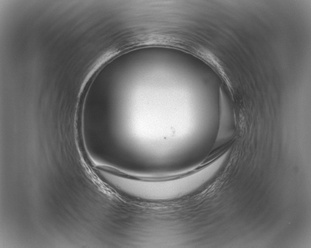X0000053101138200507251624