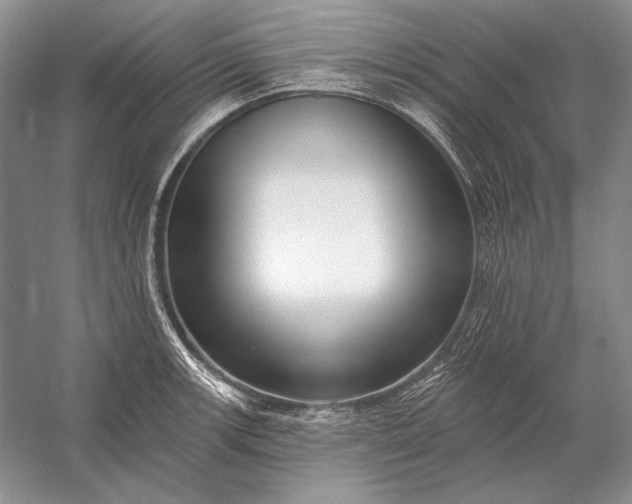 X0000053101139200507251624