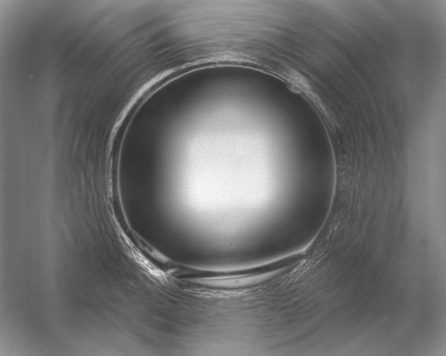 X0000053101140200507251624