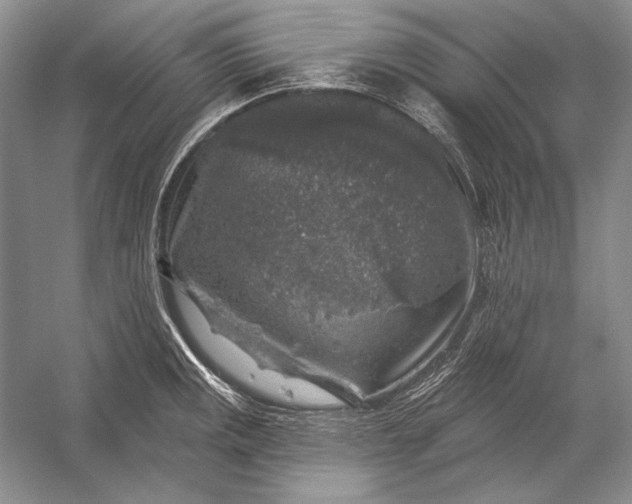 X0000053101141200507251624